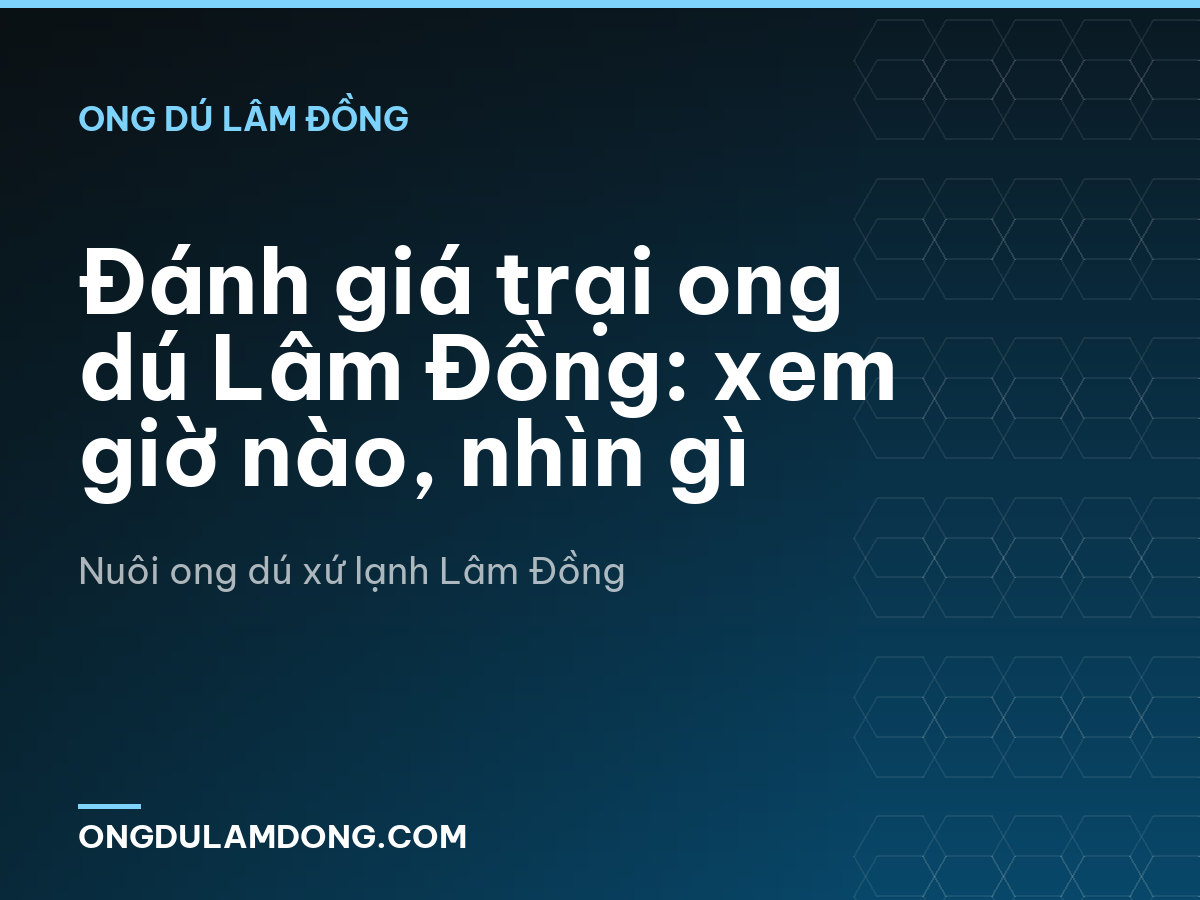 Đánh giá trại ong dú Lâm Đồng: xem giờ nào, nhìn gì