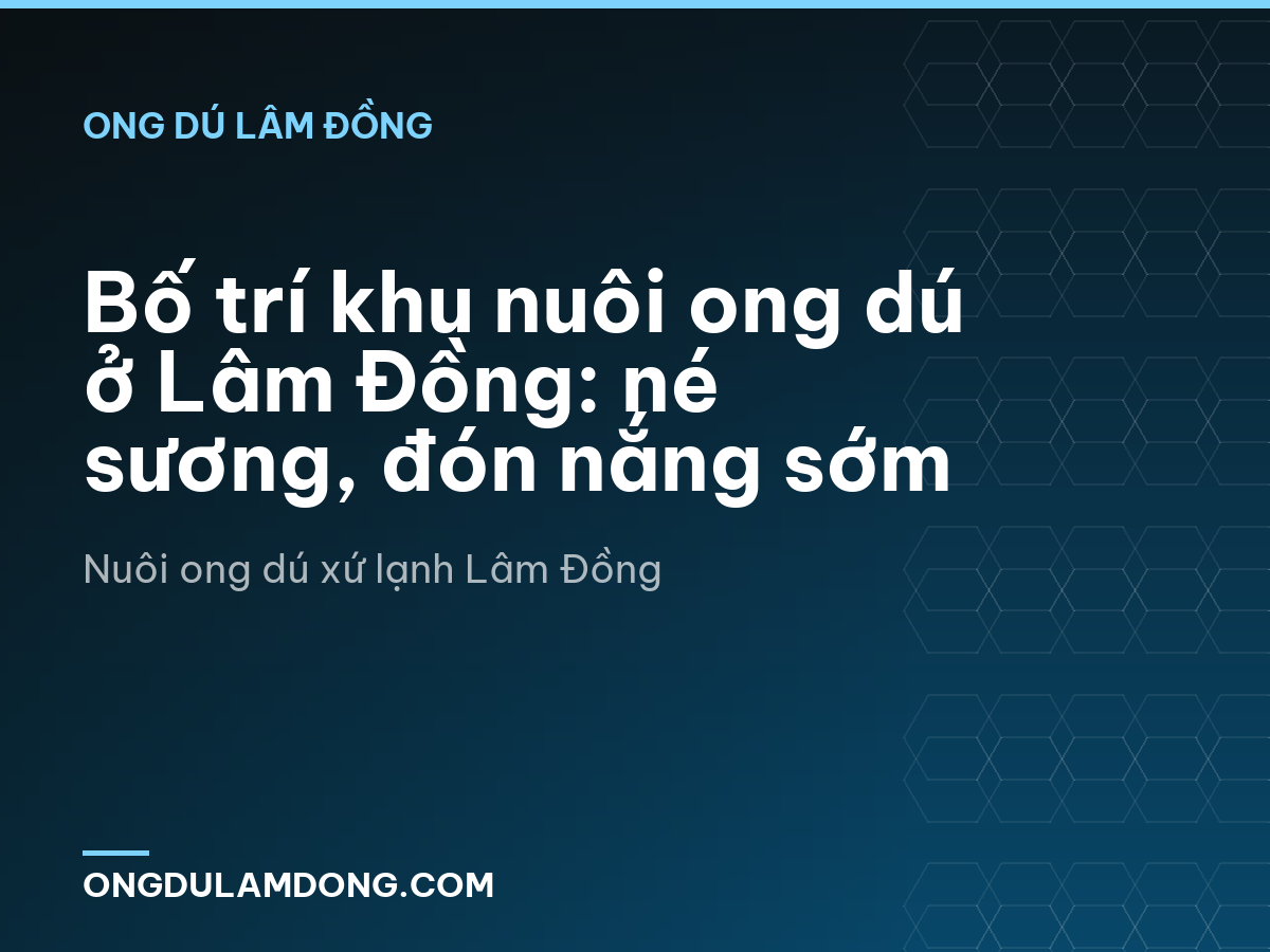 Bố trí khu nuôi ong dú ở Lâm Đồng: né sương, đón nắng sớm