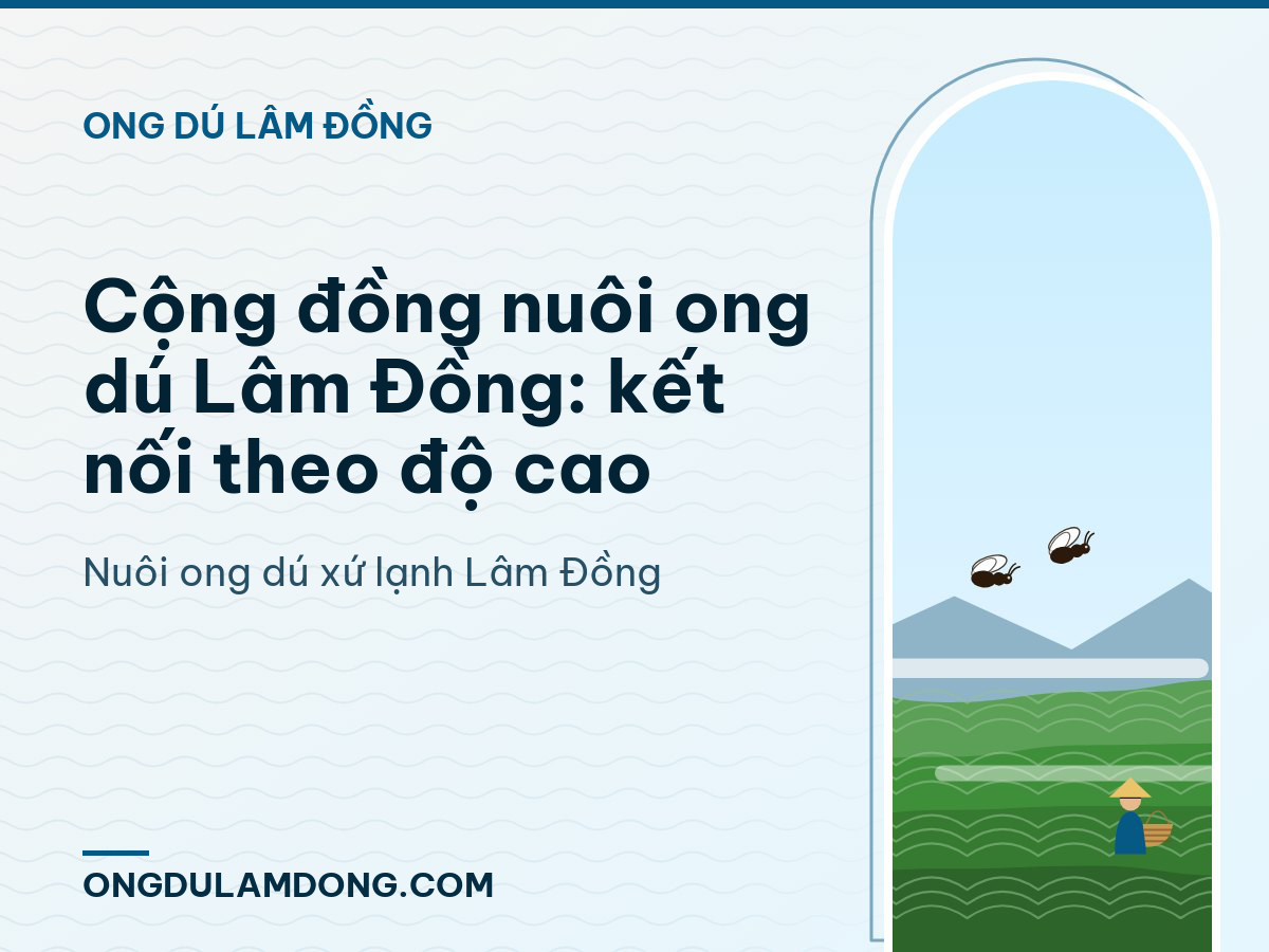 Cộng đồng nuôi ong dú Lâm Đồng: kết nối theo độ cao