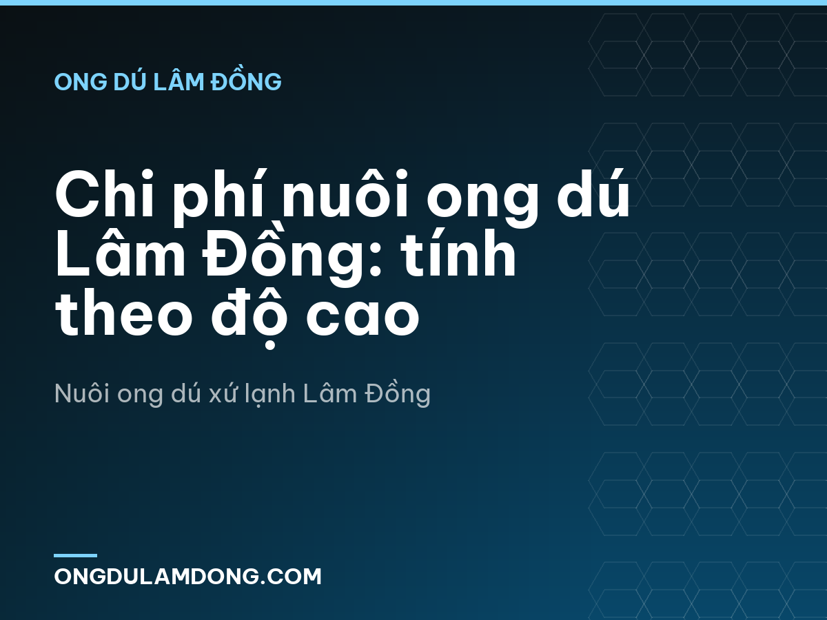 Chi phí nuôi ong dú Lâm Đồng: tính theo độ cao