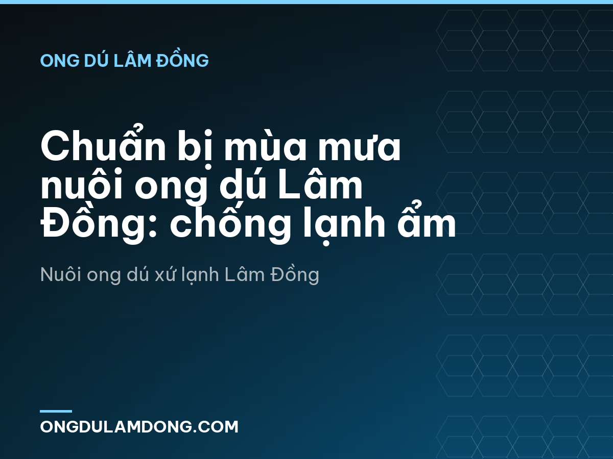 Chuẩn bị mùa mưa nuôi ong dú Lâm Đồng: chống lạnh ẩm