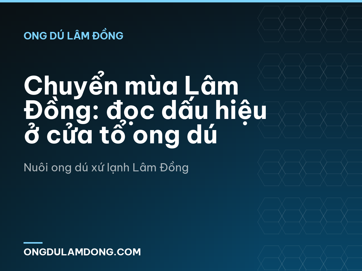 Chuyển mùa Lâm Đồng: đọc dấu hiệu ở cửa tổ ong dú