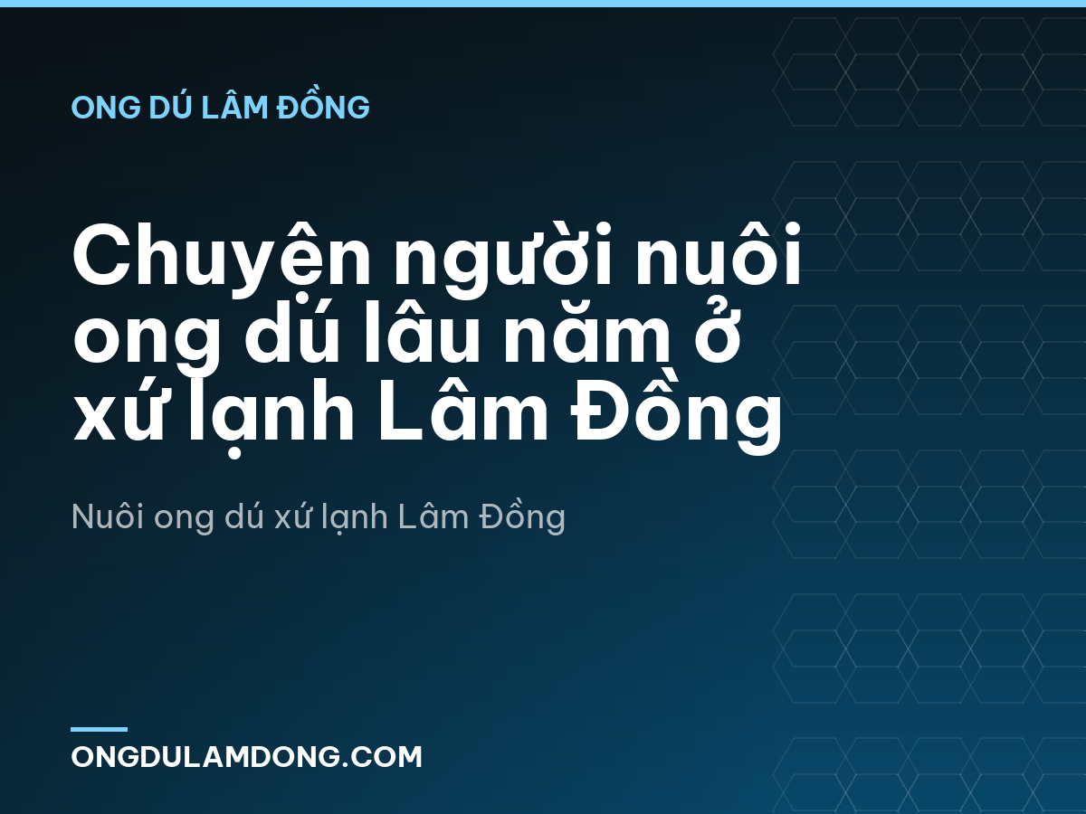 Chuyện người nuôi ong dú lâu năm ở xứ lạnh Lâm Đồng