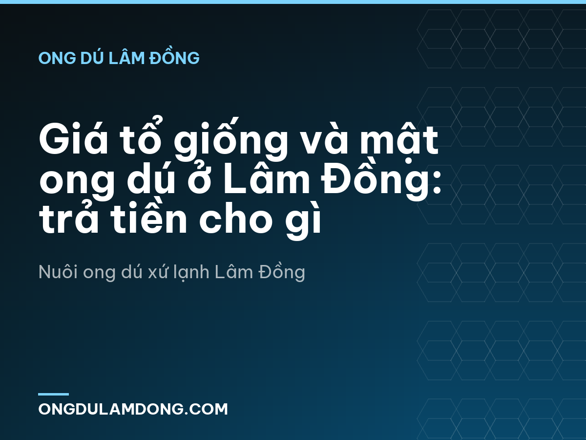 Giá tổ giống và mật ong dú ở Lâm Đồng: trả tiền cho gì