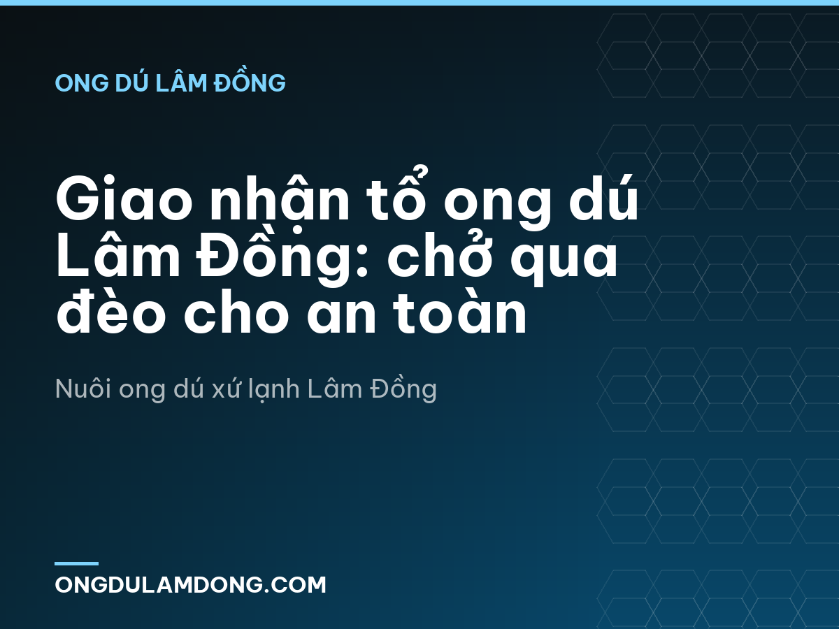 Giao nhận tổ ong dú Lâm Đồng: chở qua đèo cho an toàn