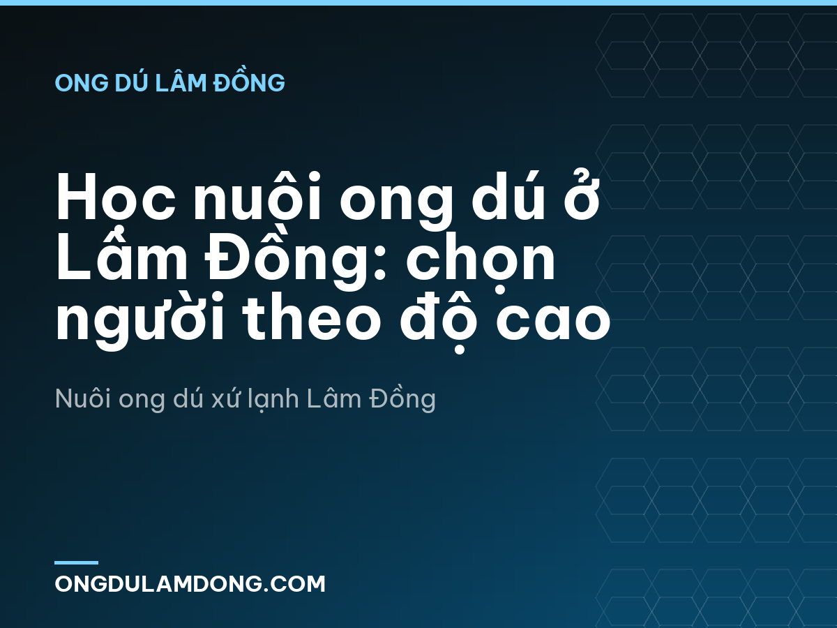 Học nuôi ong dú ở Lâm Đồng: chọn người theo độ cao