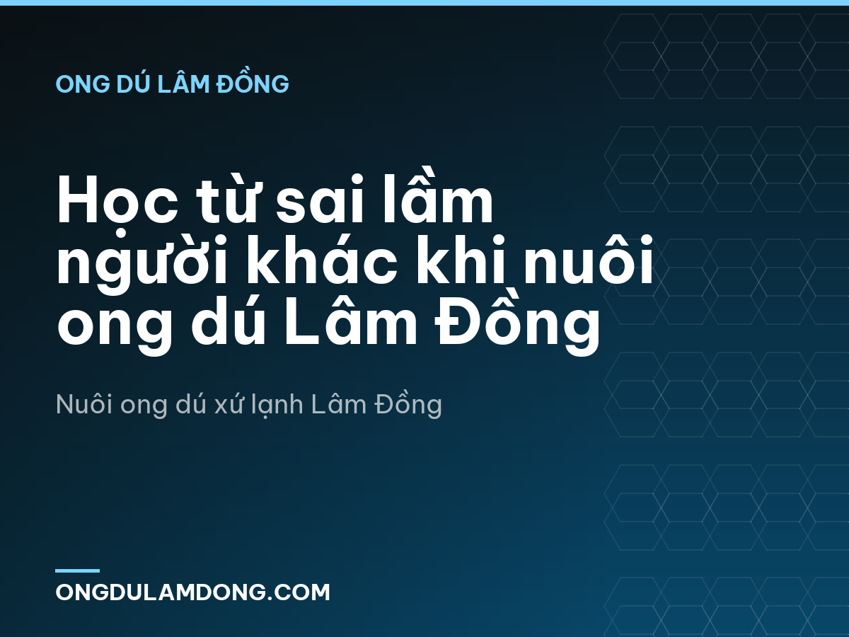 Học từ sai lầm người khác khi nuôi ong dú Lâm Đồng