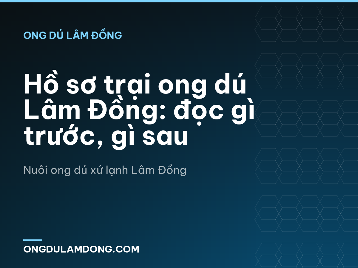 Hồ sơ trại ong dú Lâm Đồng: đọc gì trước, gì sau