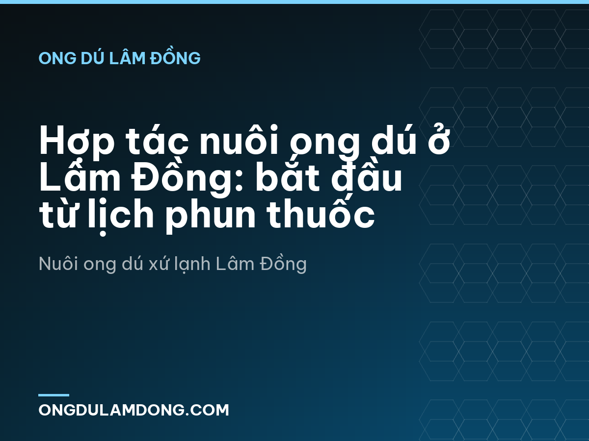 Hợp tác nuôi ong dú ở Lâm Đồng: bắt đầu từ lịch phun thuốc