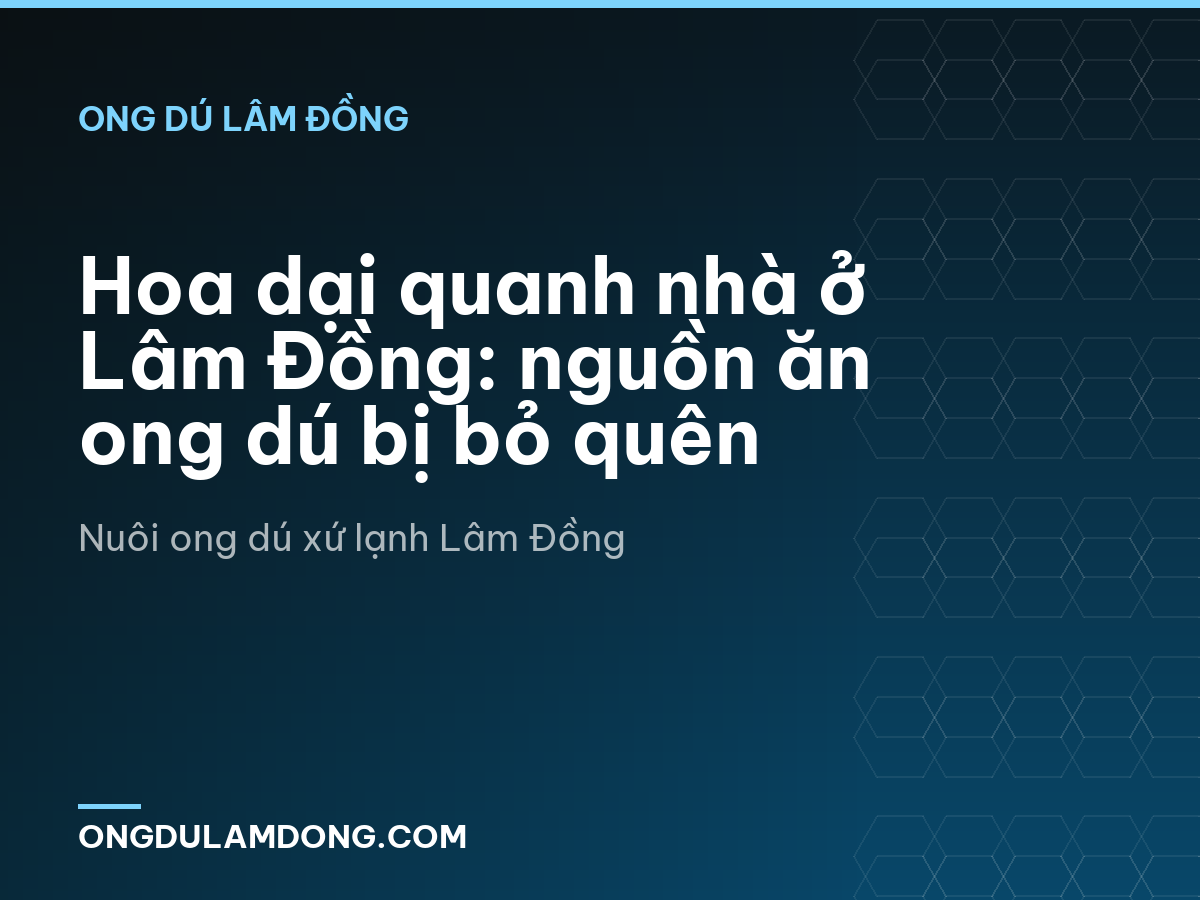 Hoa dại quanh nhà ở Lâm Đồng: nguồn ăn ong dú bị bỏ quên