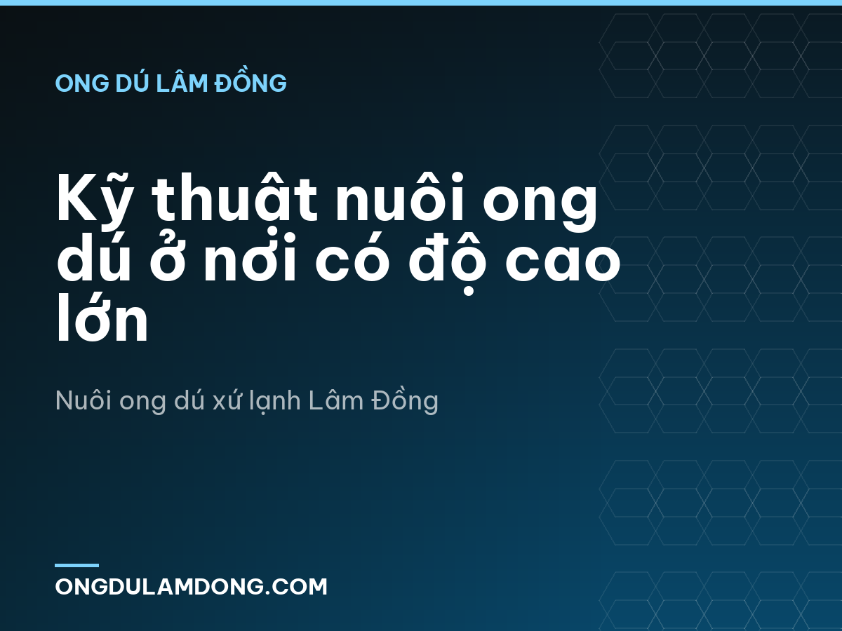 Kỹ thuật nuôi ong dú ở nơi có độ cao lớn