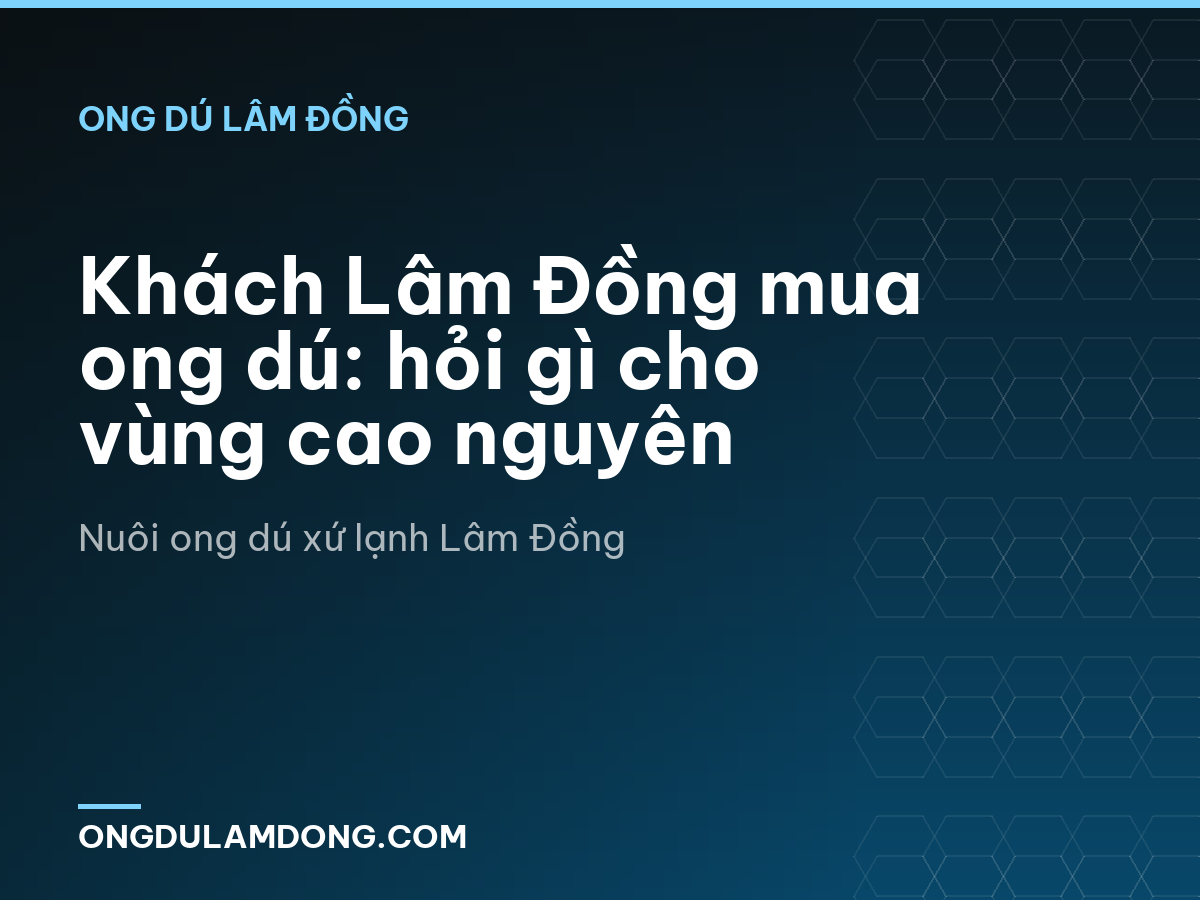 Khách Lâm Đồng mua ong dú: hỏi gì cho vùng cao nguyên