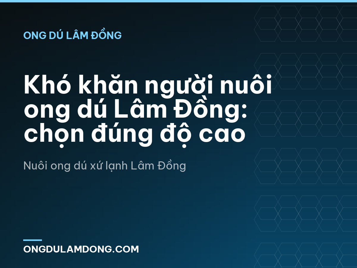 Khó khăn người nuôi ong dú Lâm Đồng: chọn đúng độ cao