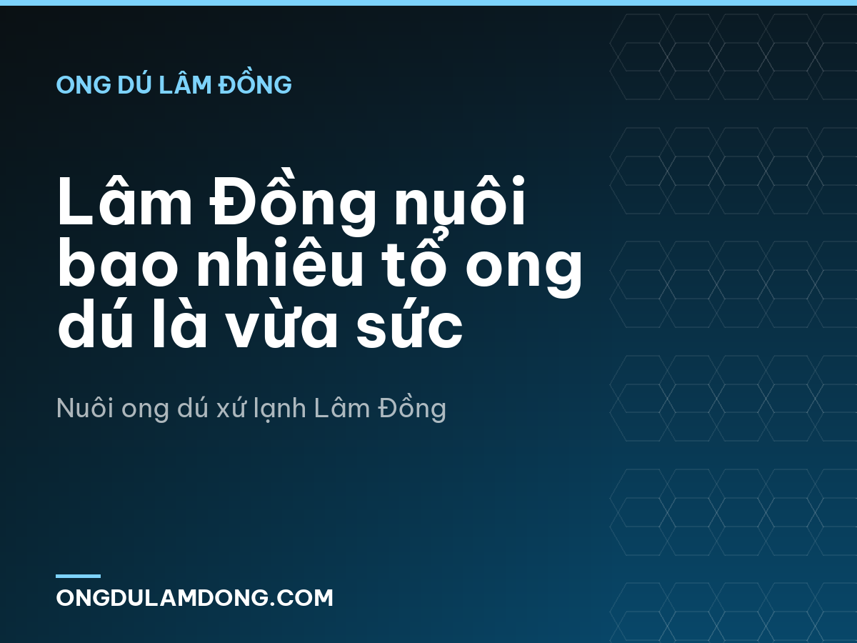 Lâm Đồng nuôi bao nhiêu tổ ong dú là vừa sức
