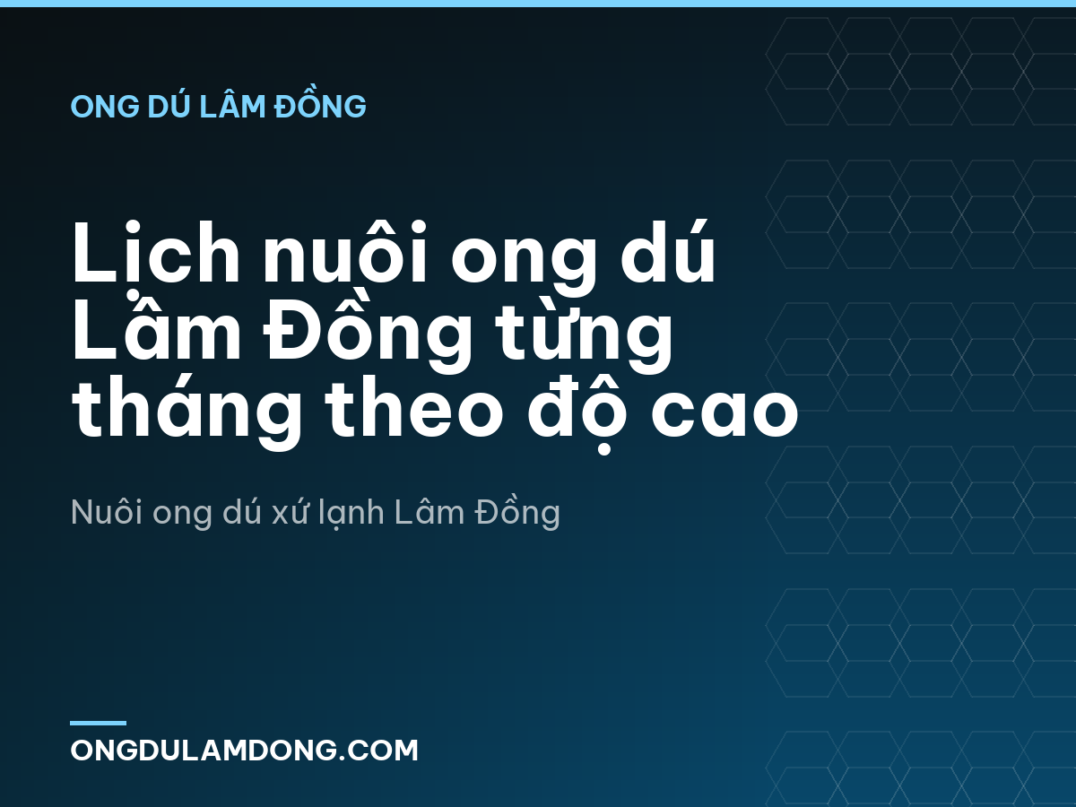 Lịch nuôi ong dú Lâm Đồng từng tháng theo độ cao