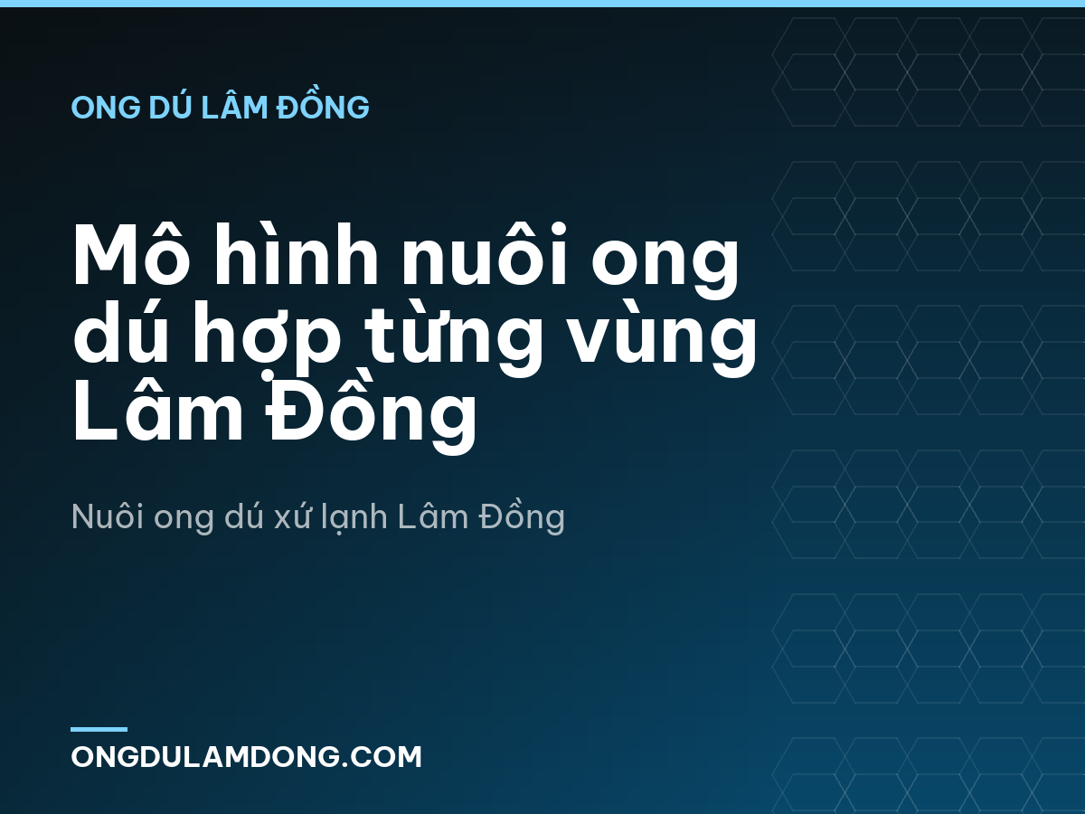 Mô hình nuôi ong dú hợp từng vùng Lâm Đồng