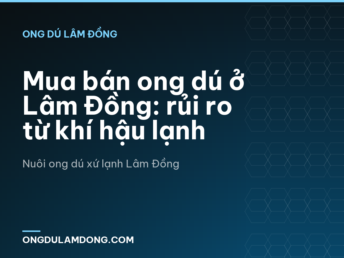 Mua bán ong dú ở Lâm Đồng: rủi ro từ khí hậu lạnh