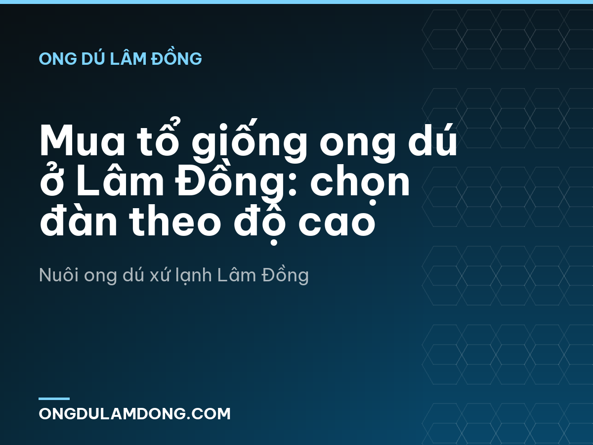 Mua tổ giống ong dú ở Lâm Đồng: chọn đàn theo độ cao