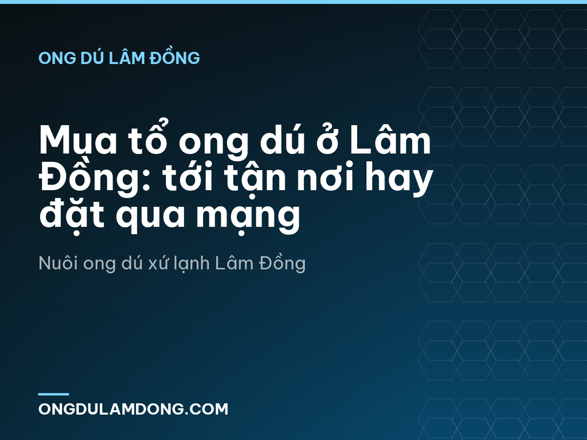 Mua tổ ong dú ở Lâm Đồng: tới tận nơi hay đặt qua mạng