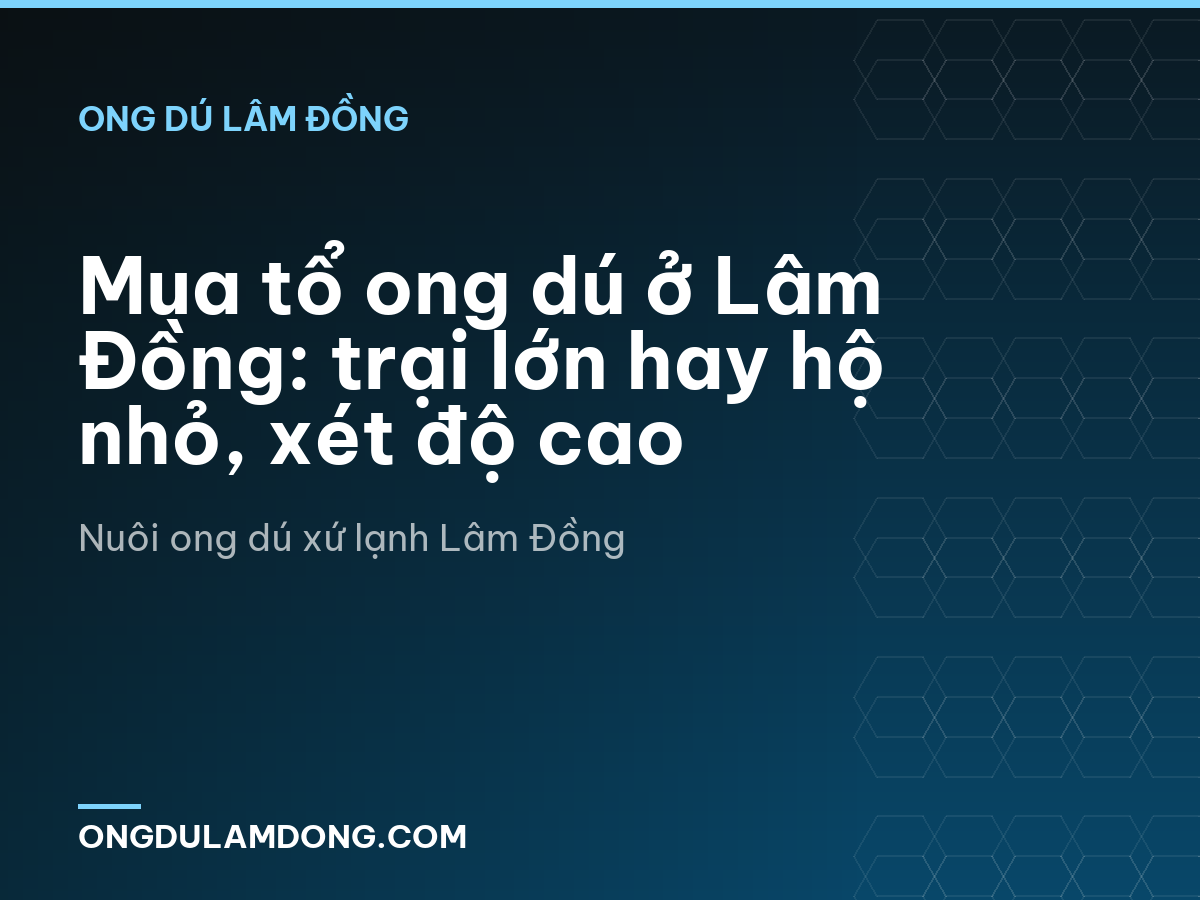 Mua tổ ong dú ở Lâm Đồng: trại lớn hay hộ nhỏ, xét độ cao