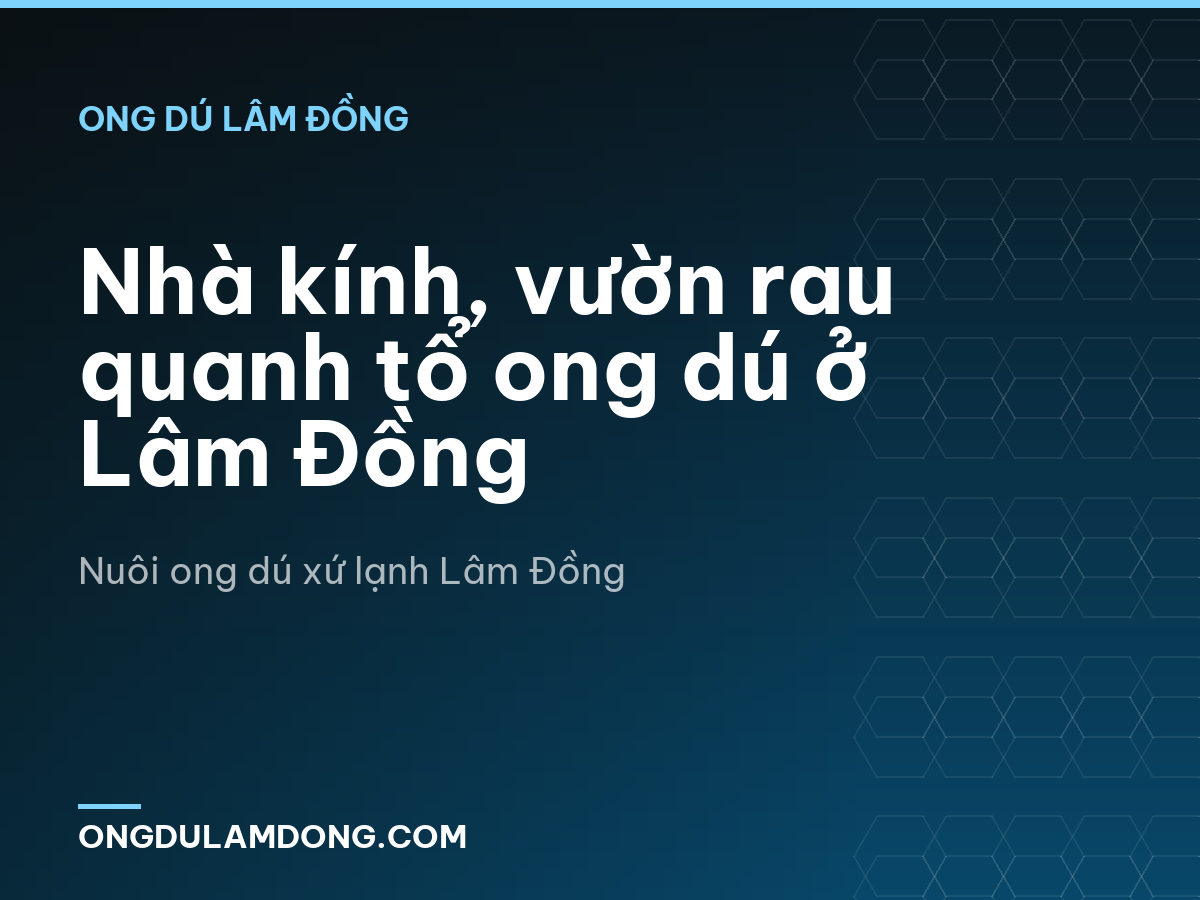 Nhà kính, vườn rau quanh tổ ong dú ở Lâm Đồng