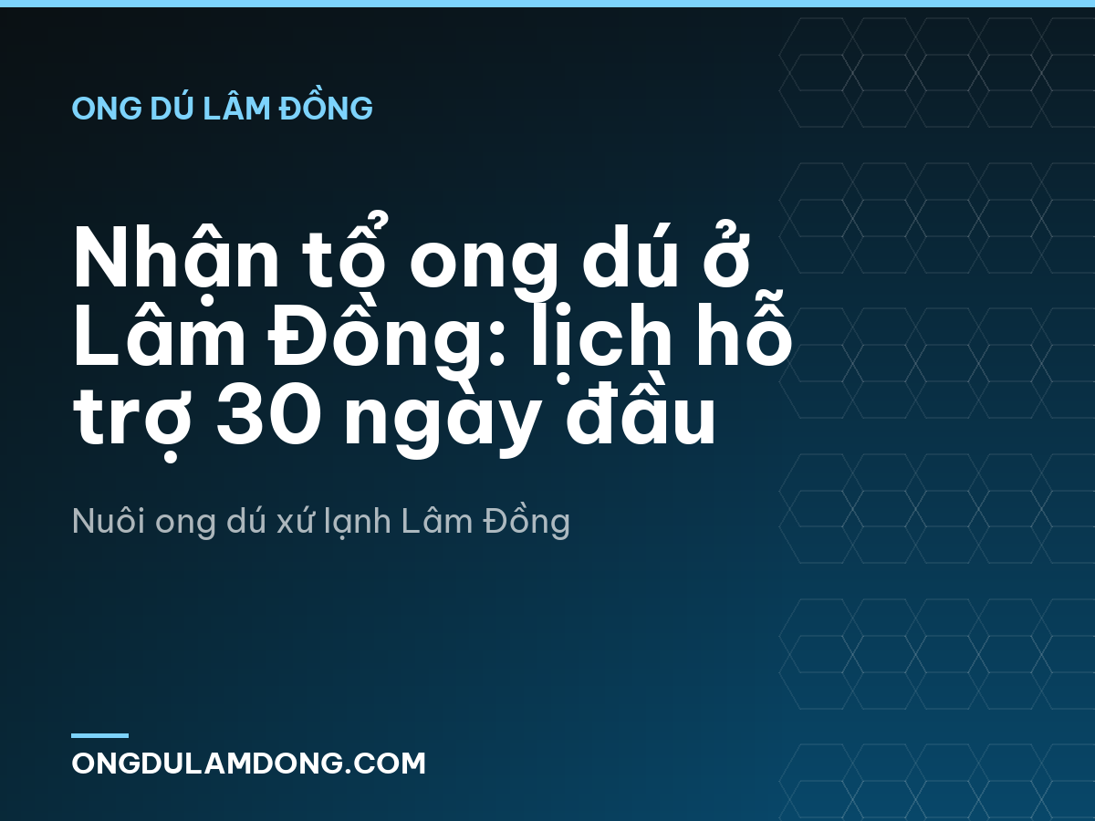 Nhận tổ ong dú ở Lâm Đồng: lịch hỗ trợ 30 ngày đầu