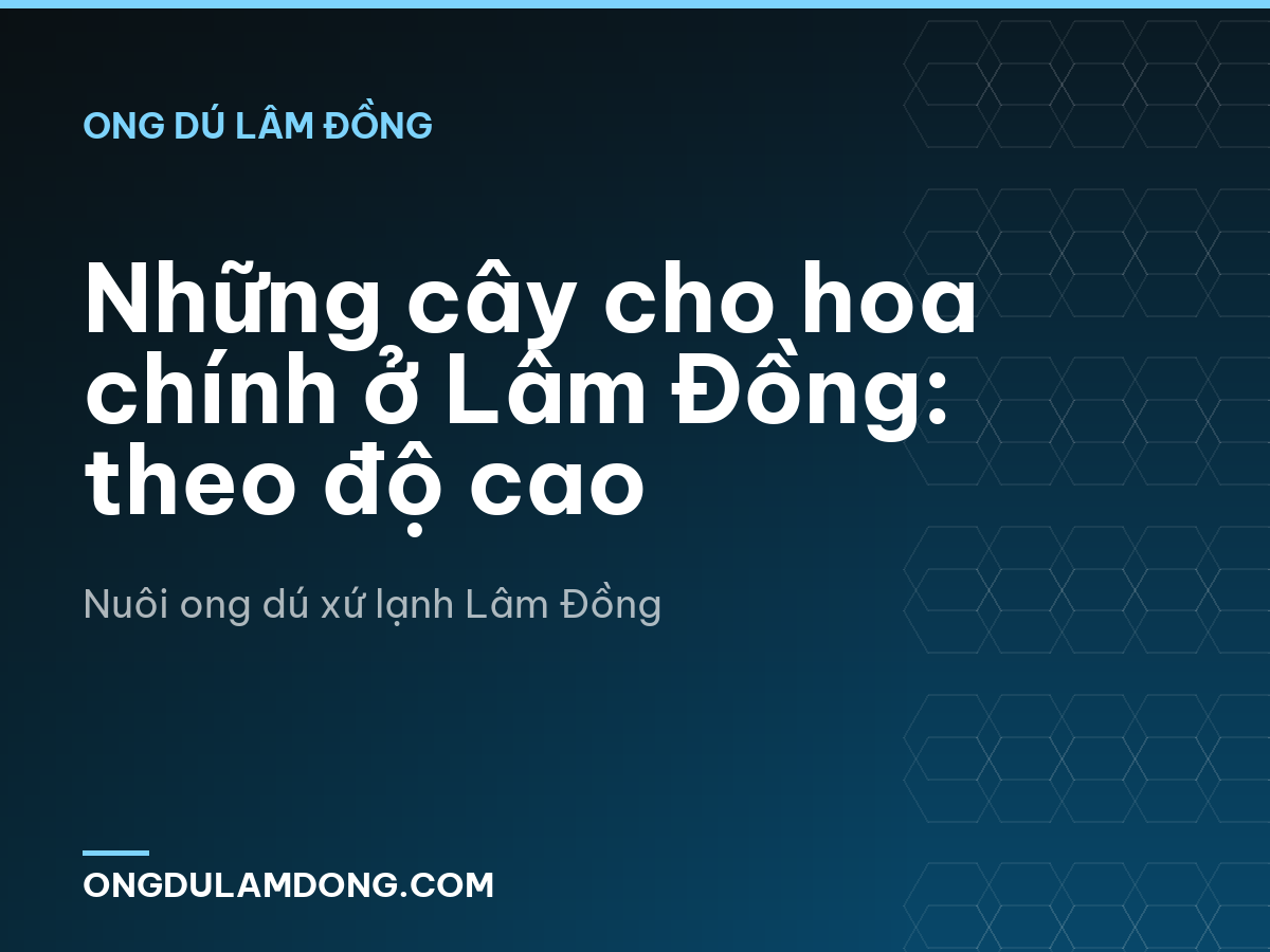 Những cây cho hoa chính ở Lâm Đồng: theo độ cao