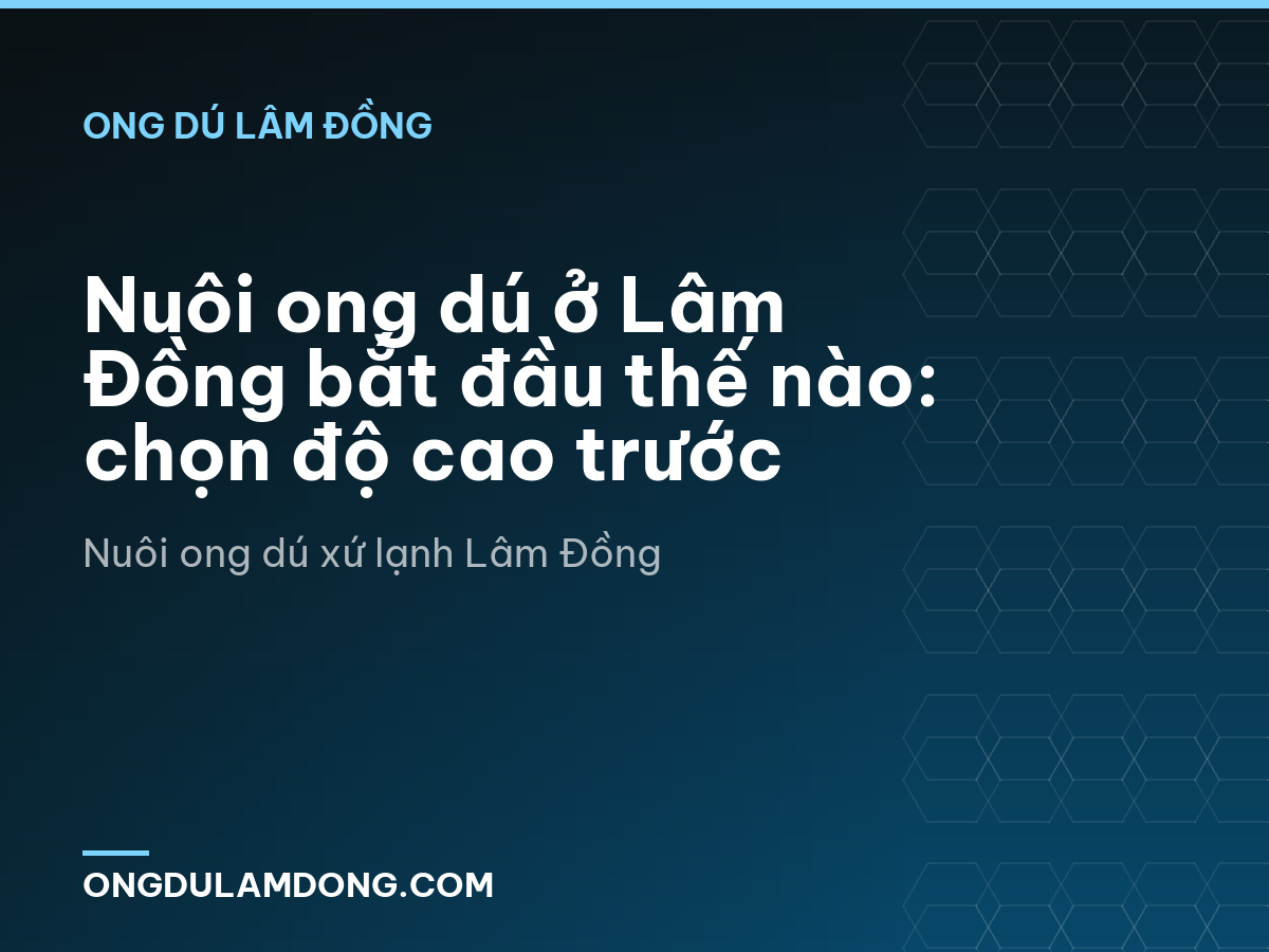 Nuôi ong dú ở Lâm Đồng bắt đầu thế nào: chọn độ cao trước