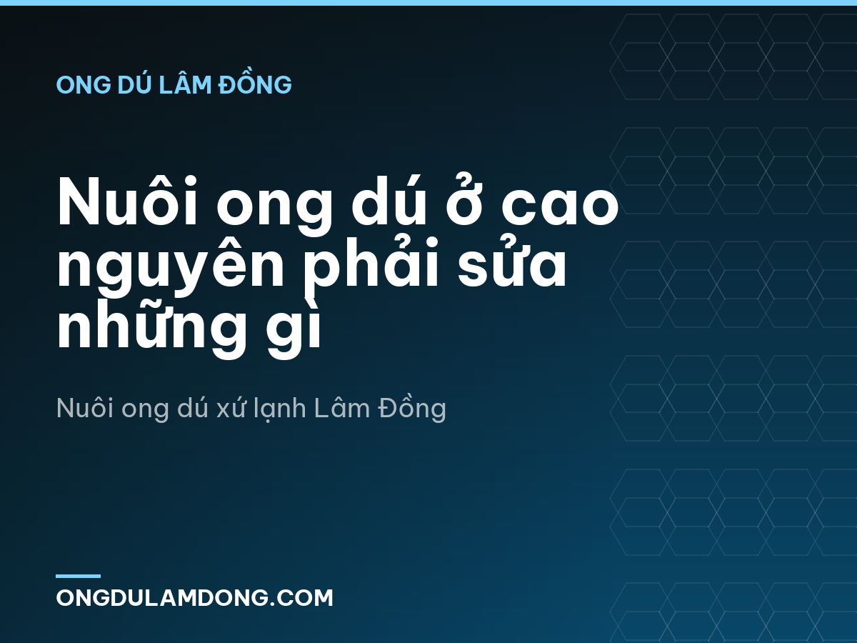 Nuôi ong dú ở cao nguyên phải sửa những gì
