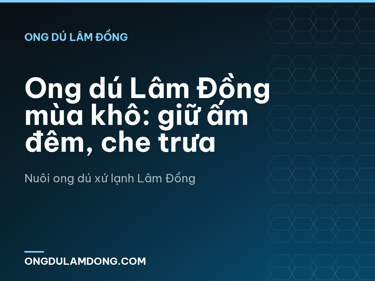 Ong dú Lâm Đồng mùa khô: giữ ấm đêm, che trưa