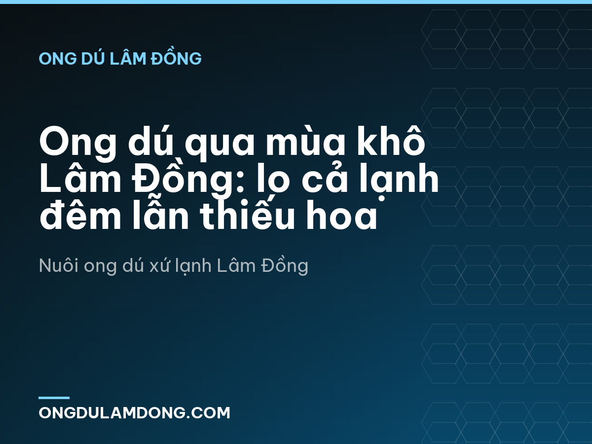 Ong dú qua mùa khô Lâm Đồng: lo cả lạnh đêm lẫn thiếu hoa