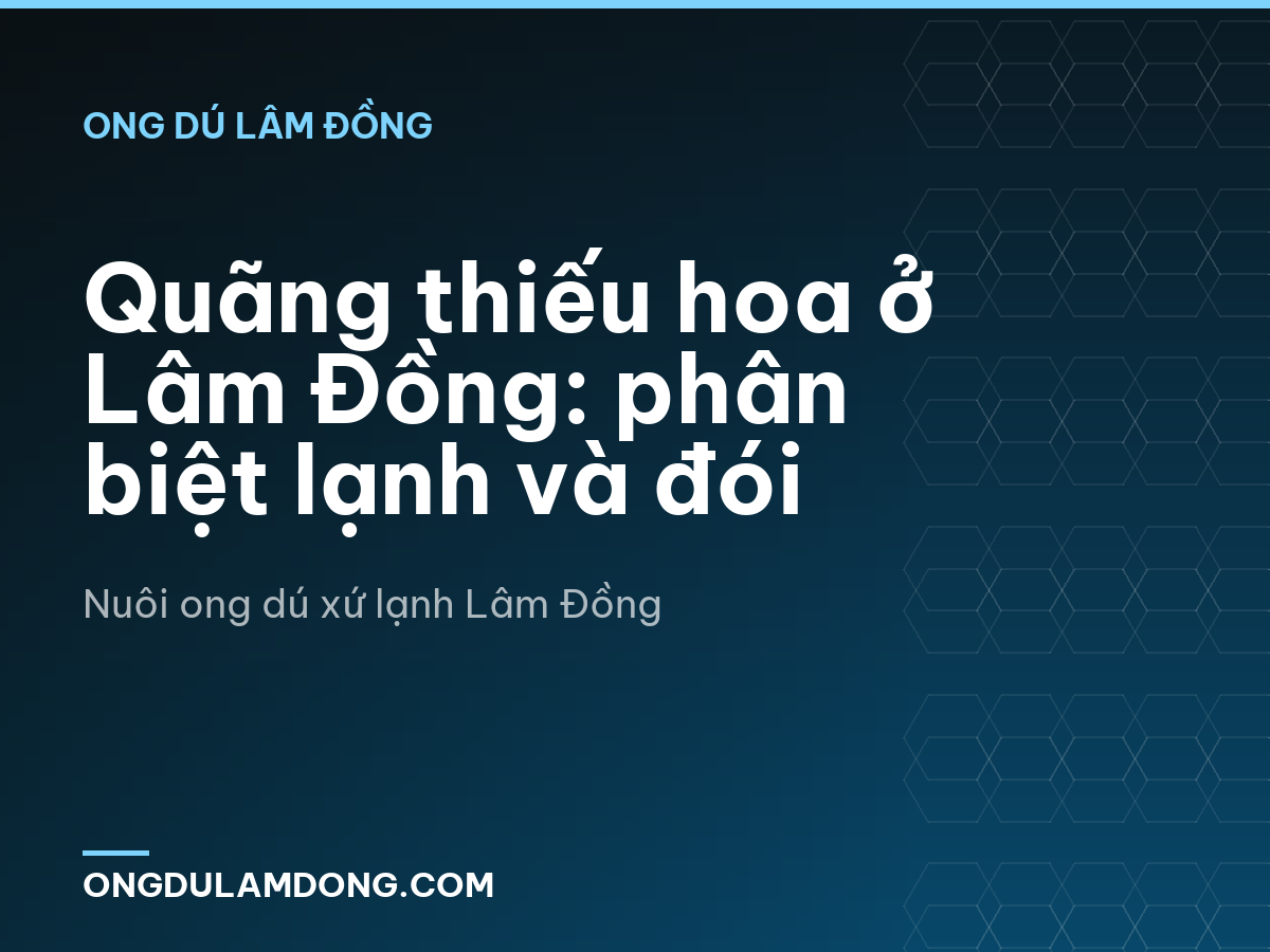 Quãng thiếu hoa ở Lâm Đồng: phân biệt lạnh và đói