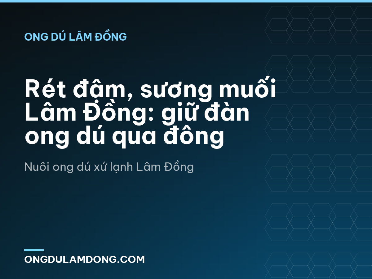 Rét đậm, sương muối Lâm Đồng: giữ đàn ong dú qua đông
