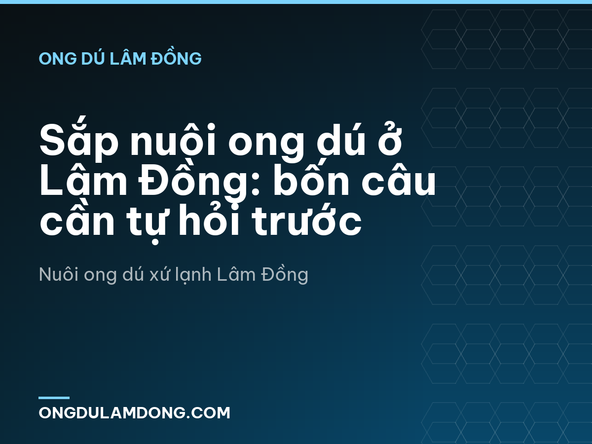 Sắp nuôi ong dú ở Lâm Đồng: bốn câu cần tự hỏi trước