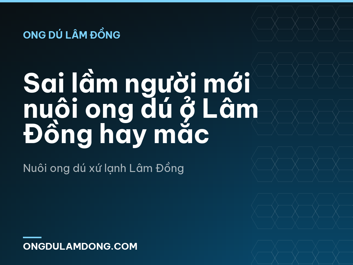 Sai lầm người mới nuôi ong dú ở Lâm Đồng hay mắc