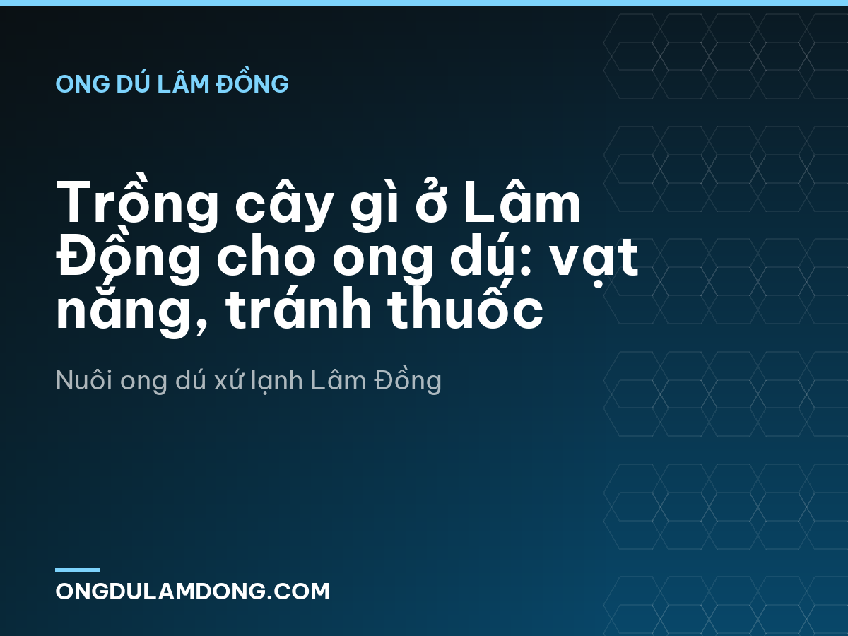 Trồng cây gì ở Lâm Đồng cho ong dú: vạt nắng, tránh thuốc