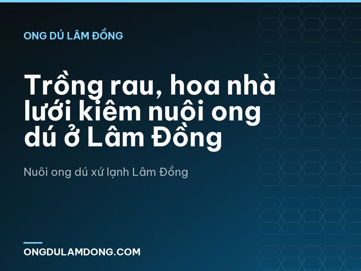 Trồng rau, hoa nhà lưới kiêm nuôi ong dú ở Lâm Đồng
