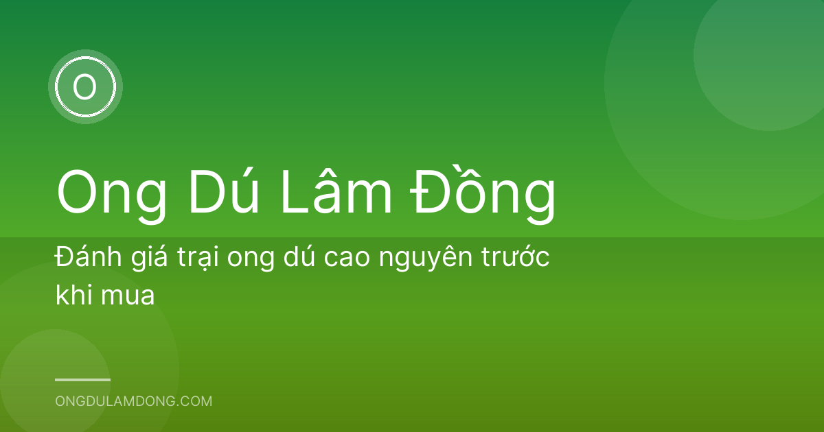 Đánh giá trại ong dú cao nguyên trước khi mua