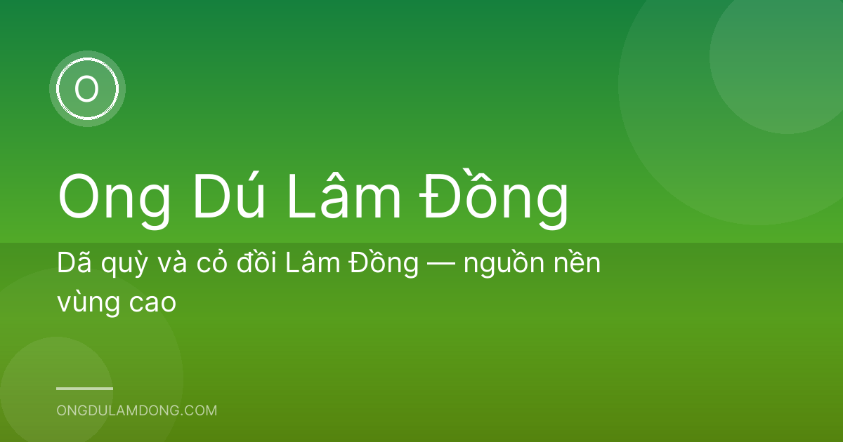 Dã quỳ và cỏ đồi Lâm Đồng — nguồn nền vùng cao