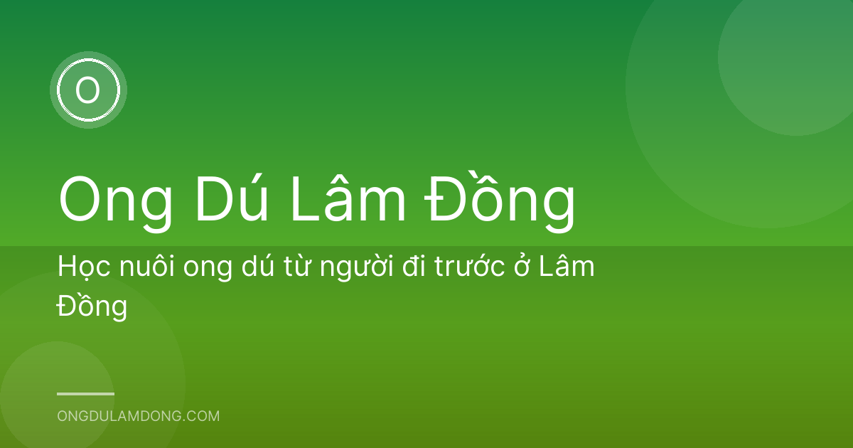 Học nuôi ong dú từ người đi trước ở Lâm Đồng