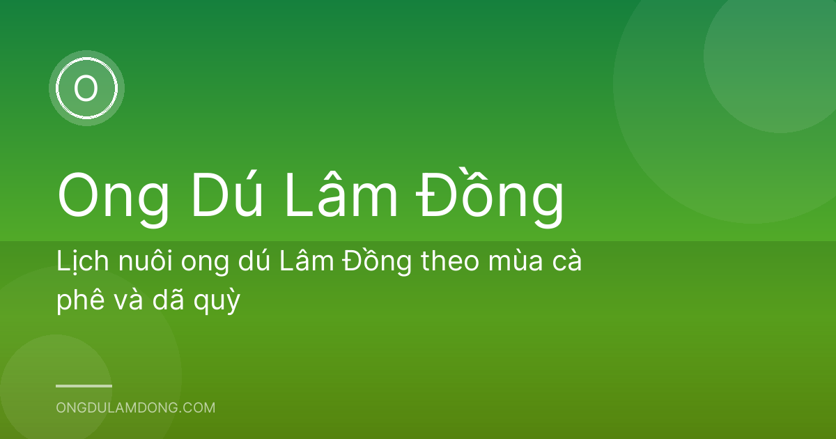 Lịch nuôi ong dú Lâm Đồng theo mùa cà phê và dã quỳ