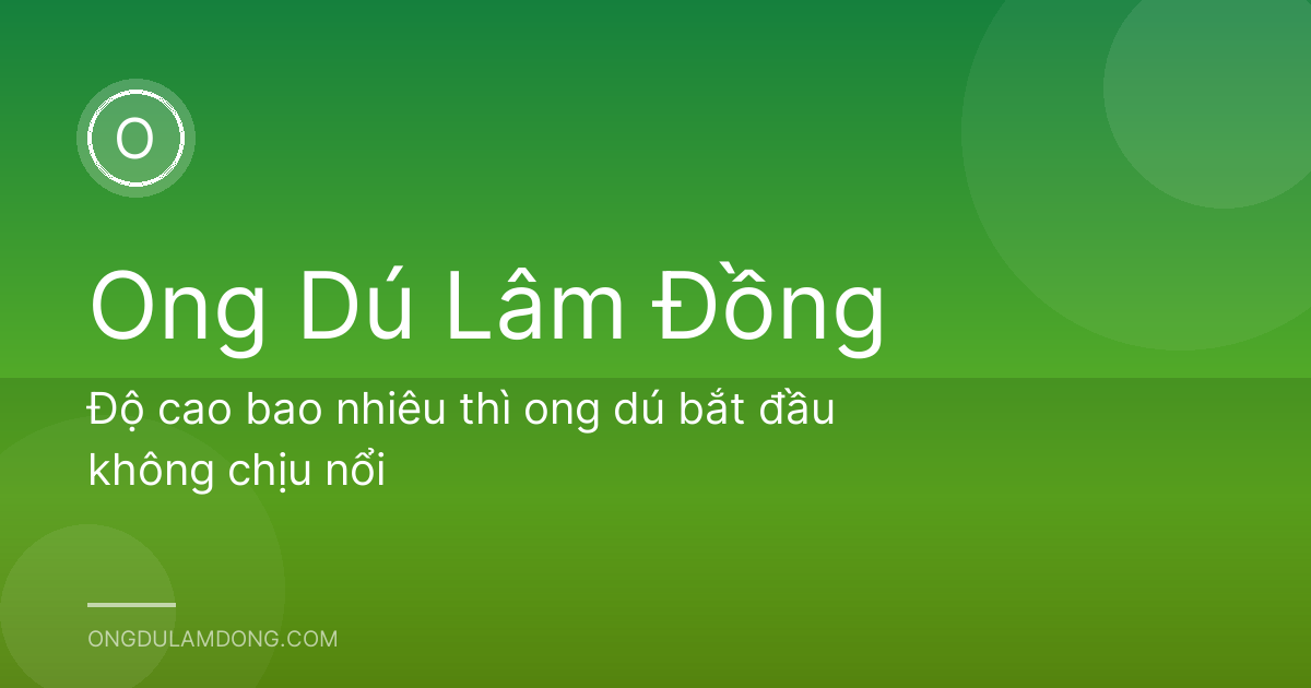 Độ cao bao nhiêu thì ong dú bắt đầu không chịu nổi