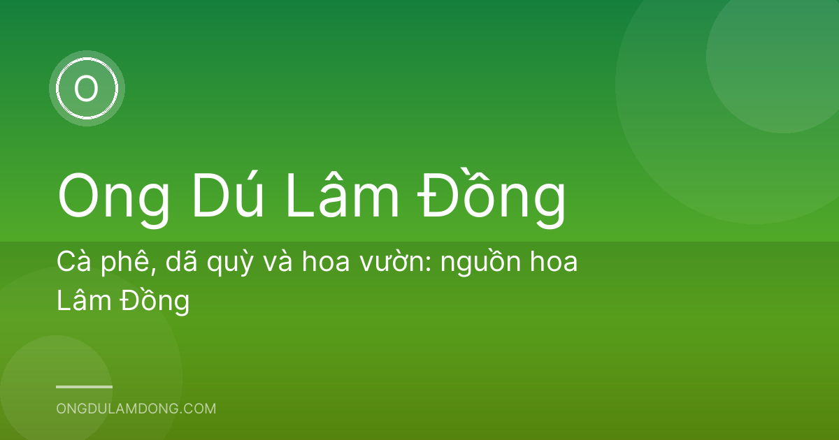 Cà phê, dã quỳ và hoa vườn: nguồn hoa Lâm Đồng