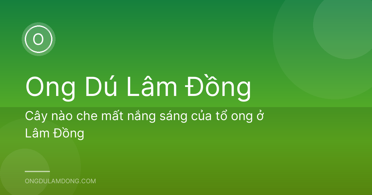 Cây nào che mất nắng sáng của tổ ong ở Lâm Đồng