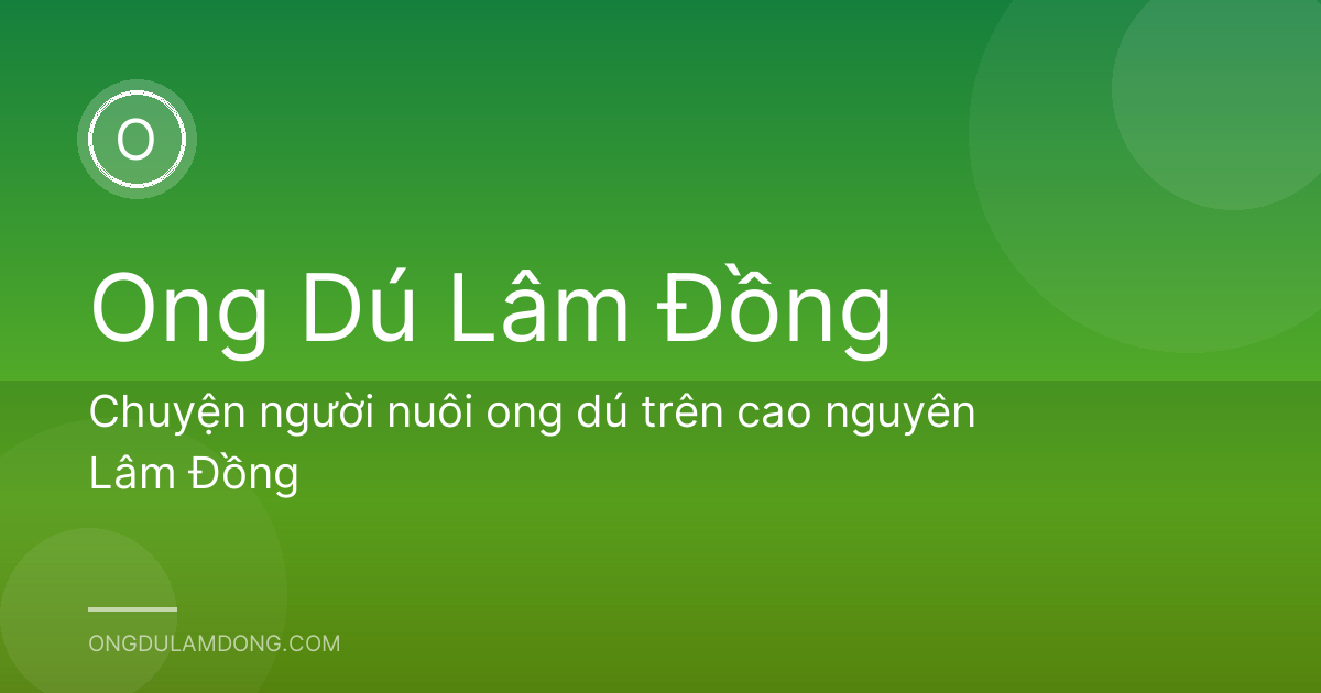 Chuyện người nuôi ong dú trên cao nguyên Lâm Đồng