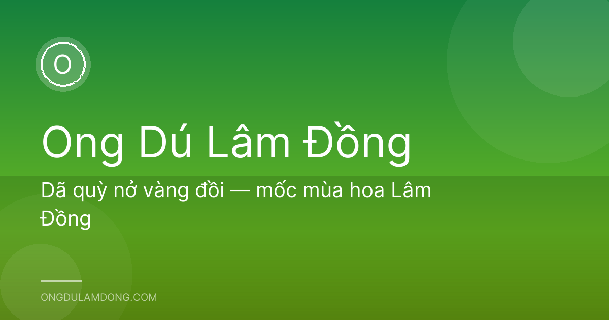 Dã quỳ nở vàng đồi — mốc mùa hoa Lâm Đồng
