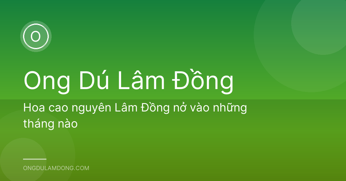 Hoa cao nguyên Lâm Đồng nở vào những tháng nào