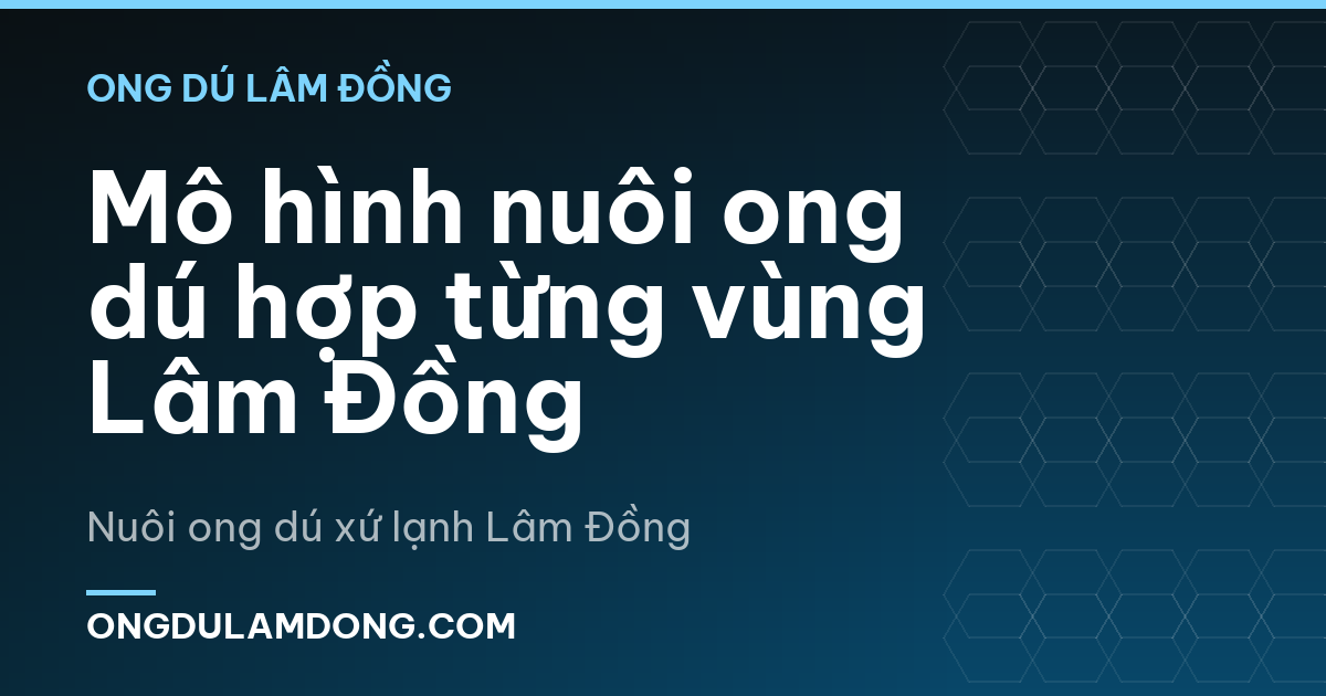 Mô hình nuôi ong dú hợp từng vùng Lâm Đồng