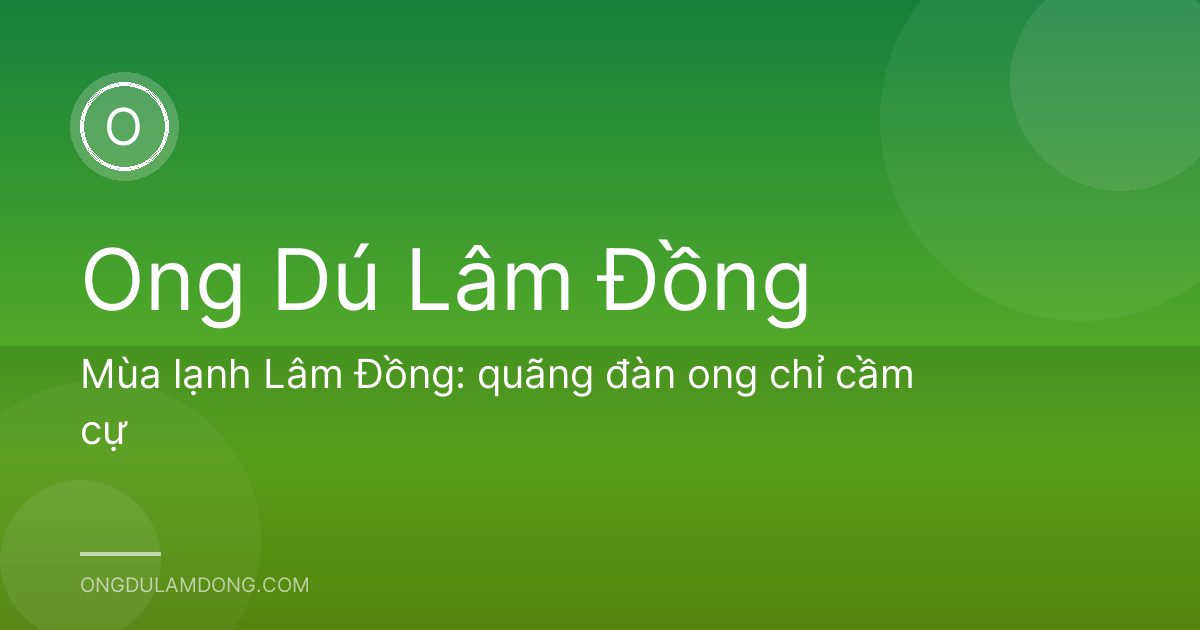 Mùa lạnh Lâm Đồng: quãng đàn ong chỉ cầm cự