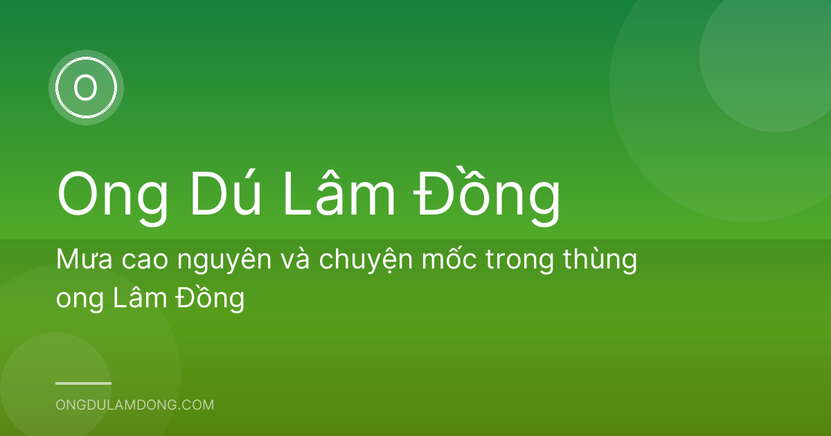 Mưa cao nguyên và chuyện mốc trong thùng ong Lâm Đồng
